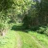 Wanderweg im NaturaTrail Genshagener Busch , Ludwigsfelde