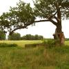 Wiesenlandschaft Natura Trail Genshagener Busch  Ludwigsfelde