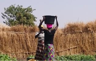 Ankündigung der Veranstaltung